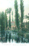 ND 126C.jpg